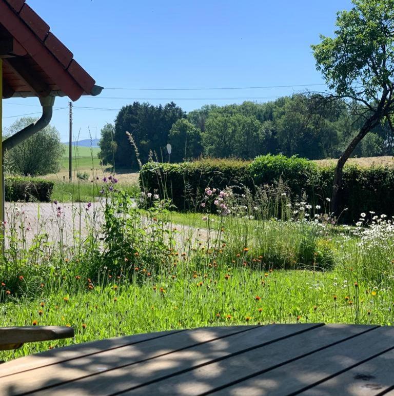 Urlaub Mit Hund Auf Dem Bauernhof Hofswald Leilighet Euscheid Eksteriør bilde