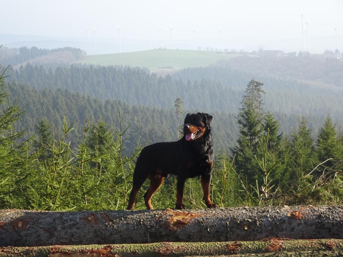 Urlaub Mit Hund Auf Dem Bauernhof Hofswald Leilighet Euscheid Eksteriør bilde