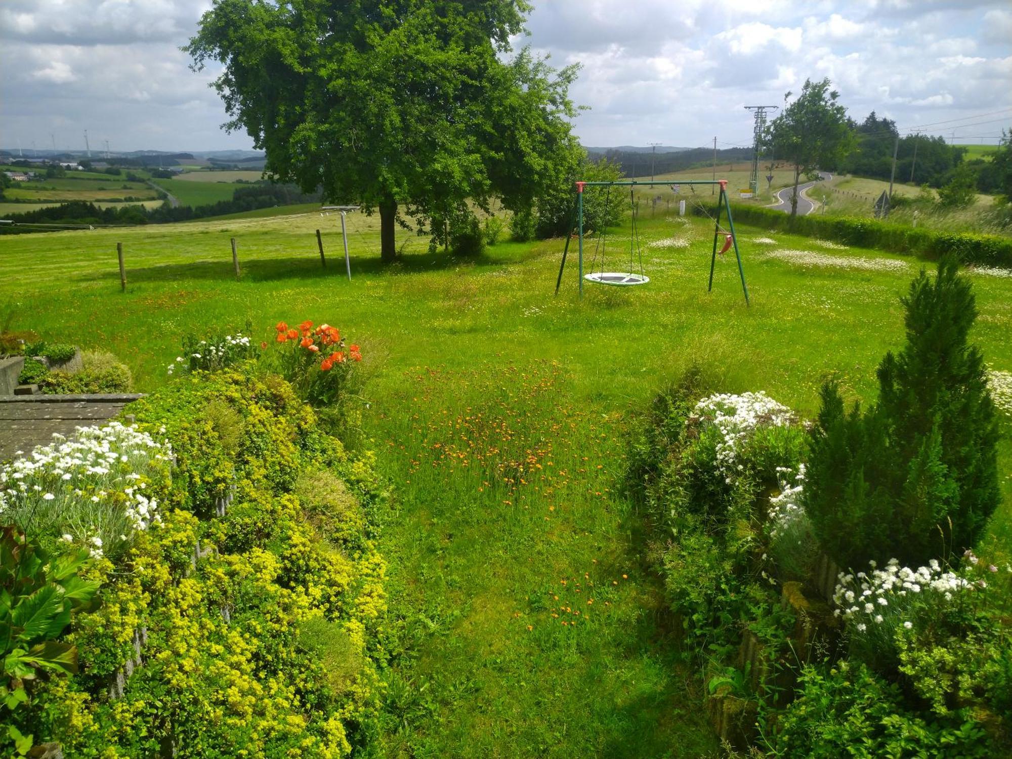 Urlaub Mit Hund Auf Dem Bauernhof Hofswald Leilighet Euscheid Eksteriør bilde