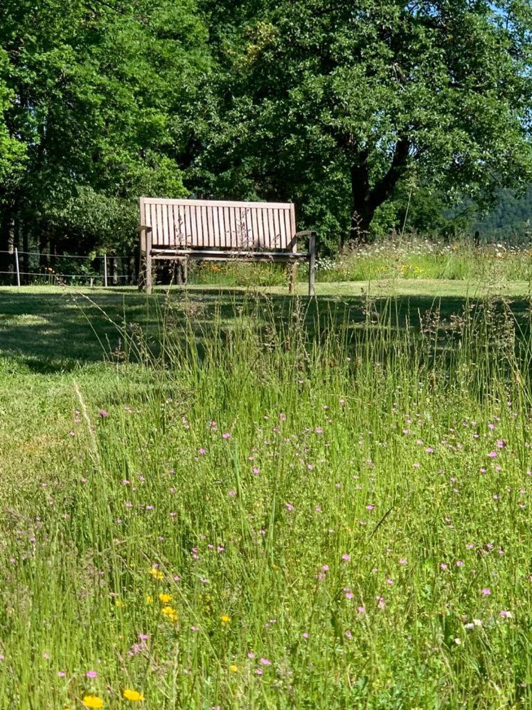 Urlaub Mit Hund Auf Dem Bauernhof Hofswald Leilighet Euscheid Eksteriør bilde