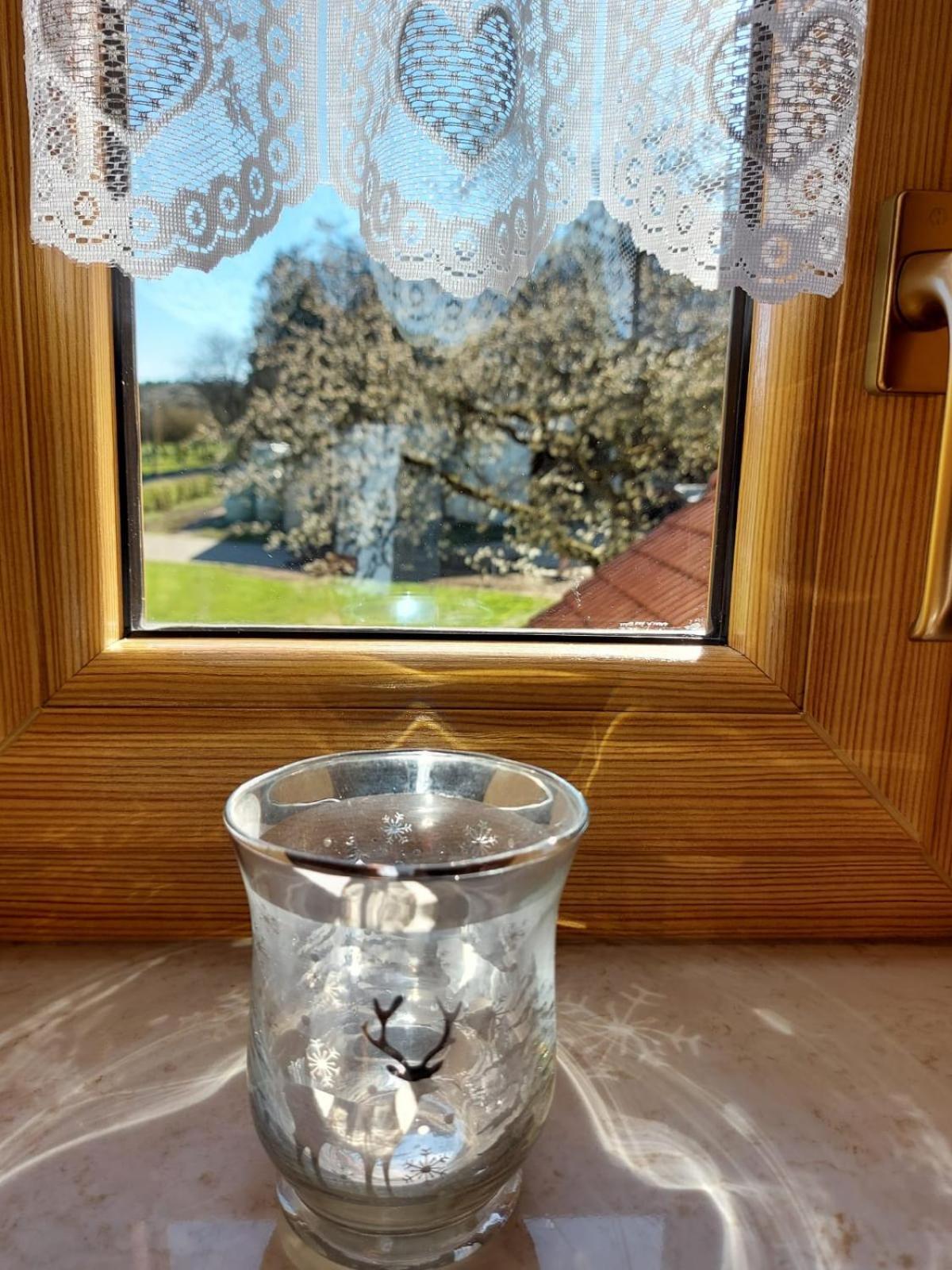 Urlaub Mit Hund Auf Dem Bauernhof Hofswald Leilighet Euscheid Eksteriør bilde